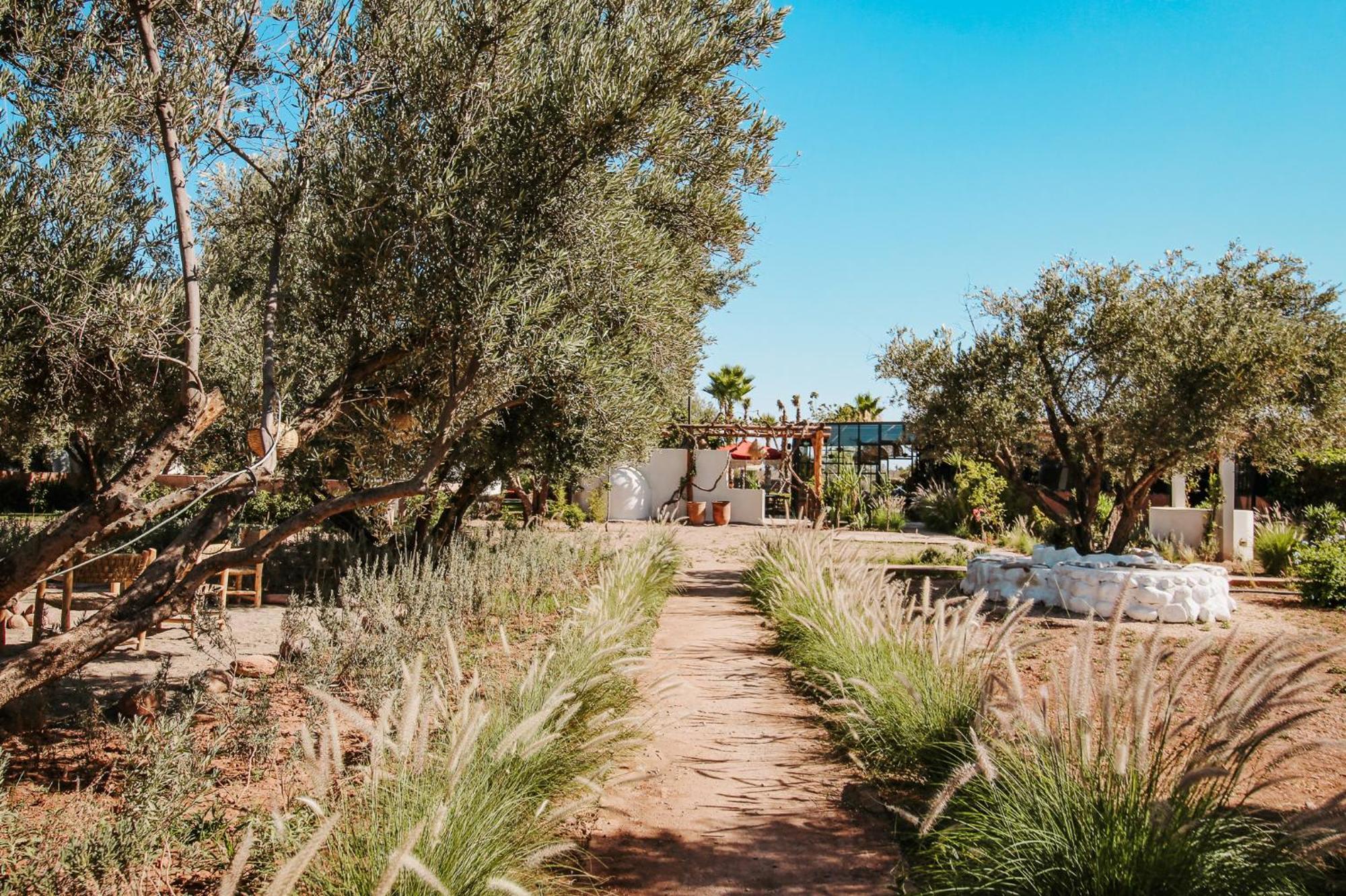 Bed and breakfast La Ferme El Dar 3*