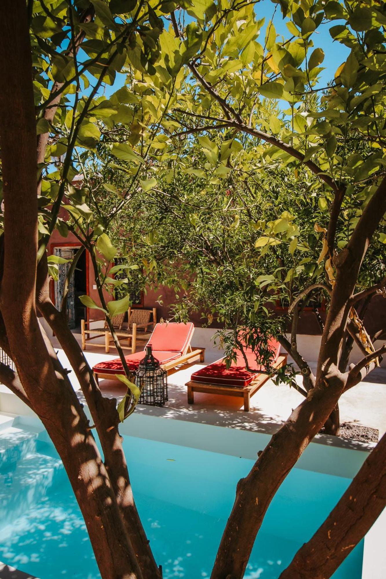 Bed & Breakfast & La Ferme El Dar Marrakesh
